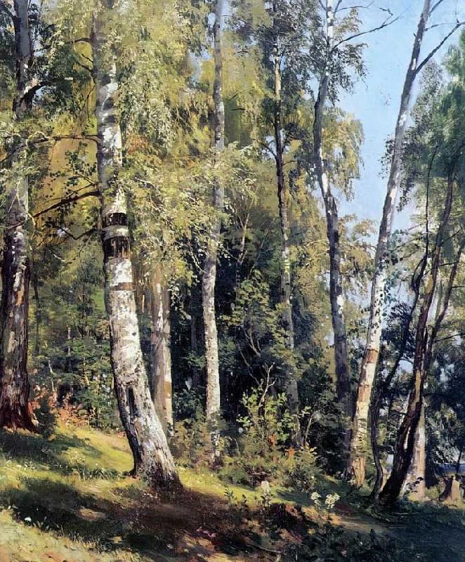 Ivan Shishkin Birch Grove china oil painting image